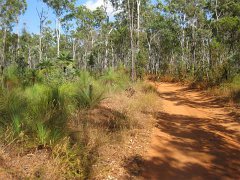 6036 Cape York IXUS Jul11 (Medium)